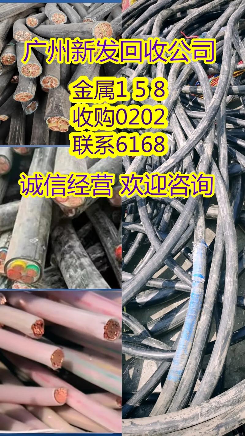 科技赋能环保 开启高效资源循环利用新篇章